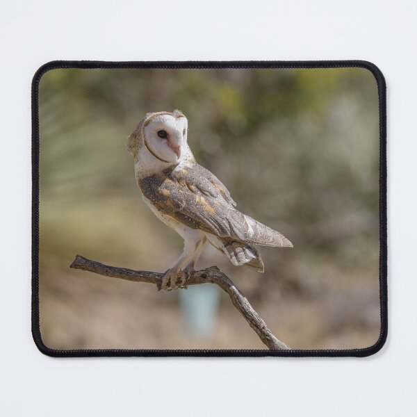 Item preview, Easter Barn Owl designed and sold by Luke Foster.