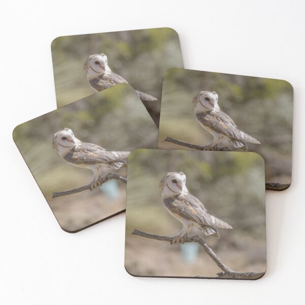 Item preview, Easter Barn Owl designed and sold by Luke Foster.