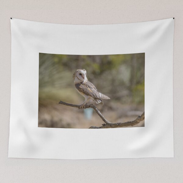 Item preview, Easter Barn Owl designed and sold by Luke Foster.