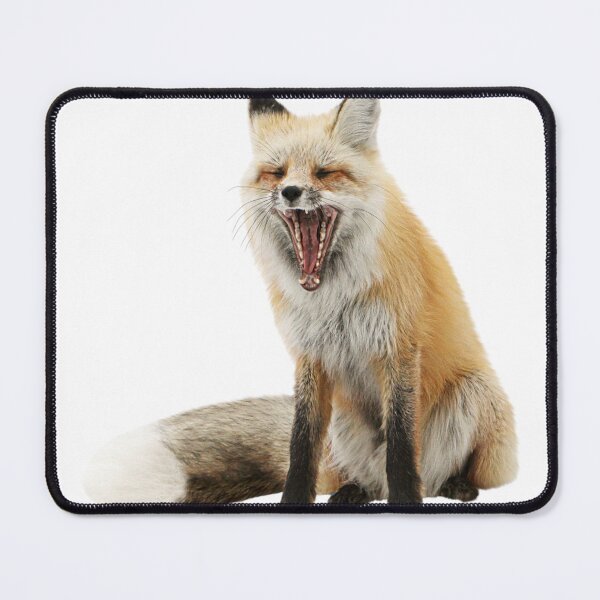Item preview, Funny cute sleepy fox designed and sold by Karamstore20.
