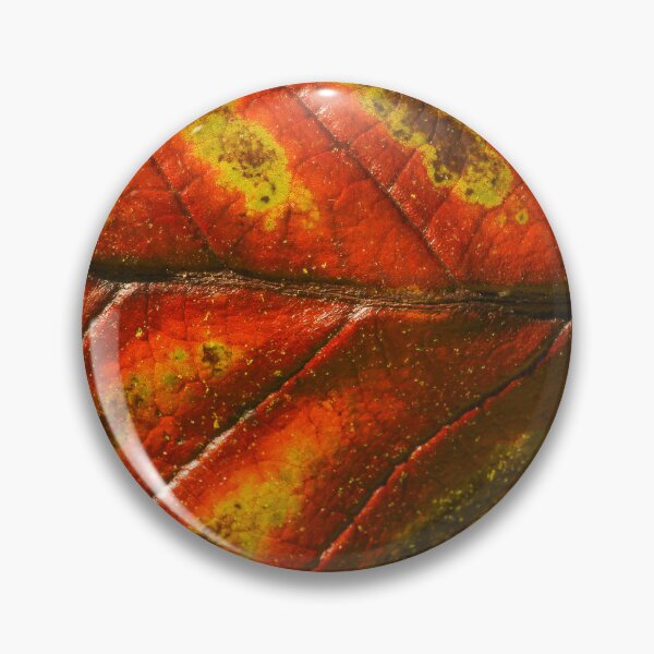 Item preview, Sinogrande Leaf Closeup Detail Nature Lovers designed and sold by eddiebarronshop.