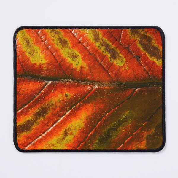 Item preview, Sinogrande Leaf Closeup Detail Nature Lovers designed and sold by eddiebarronshop.