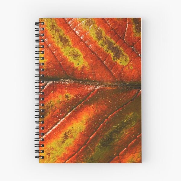 Item preview, Sinogrande Leaf Closeup Detail Nature Lovers designed and sold by eddiebarronshop.