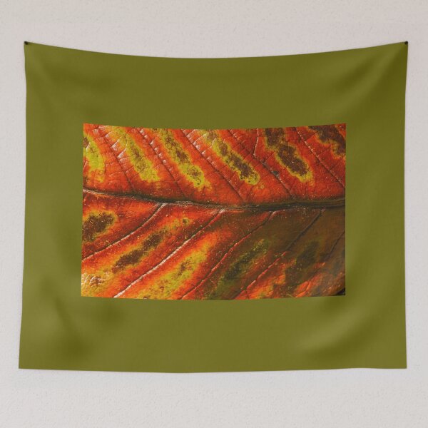 Item preview, Sinogrande Leaf Closeup Detail Nature Lovers designed and sold by eddiebarronshop.