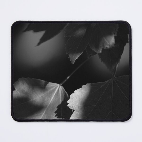 Item preview, Late Summer Memories in the Park Black and White Vertical designed and sold by eddiebarronshop.