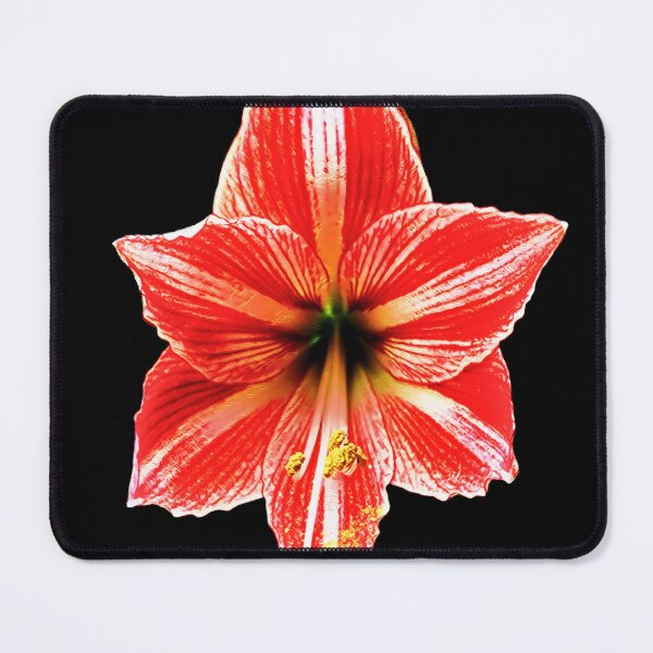 Item preview, Super Star designed and sold by olusion.