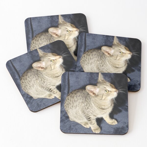 Item preview, Cute Kitten Lookin up designed and sold by coinsxcrochet.