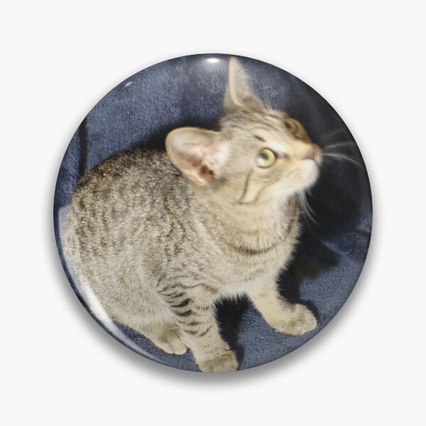 Item preview, Cute Kitten Lookin up designed and sold by coinsxcrochet.
