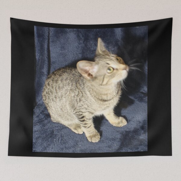 Item preview, Cute Kitten Lookin up designed and sold by coinsxcrochet.