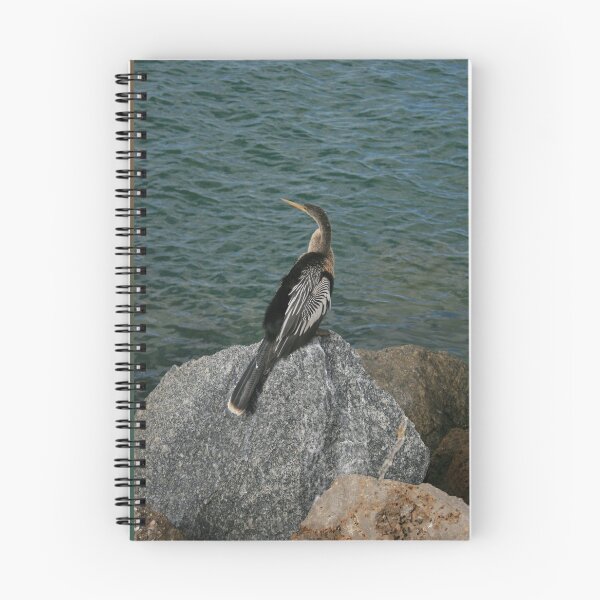 Item preview, Anhinga DPG160111a designed and sold by CSteenArt.