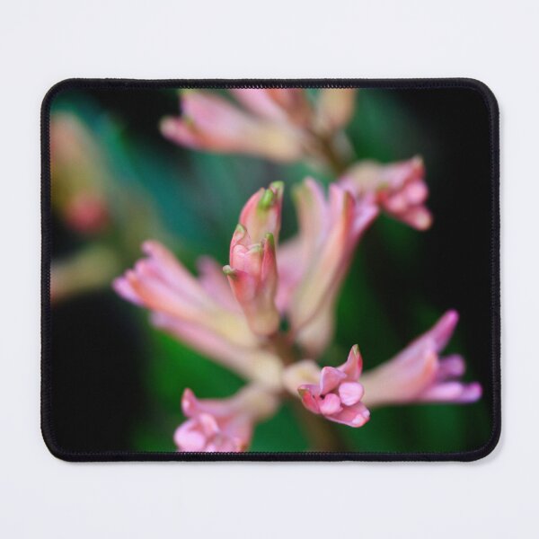 Item preview, Pink flowers on black background designed and sold by olena2552.