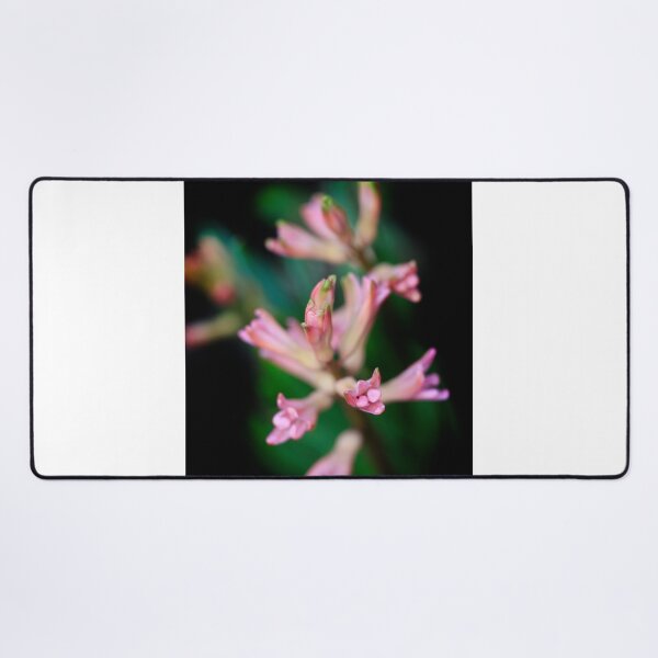 Item preview, Pink flowers on black background designed and sold by olena2552.