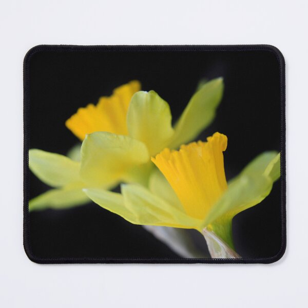 Item preview, Yellow flowers on black background designed and sold by olena2552.