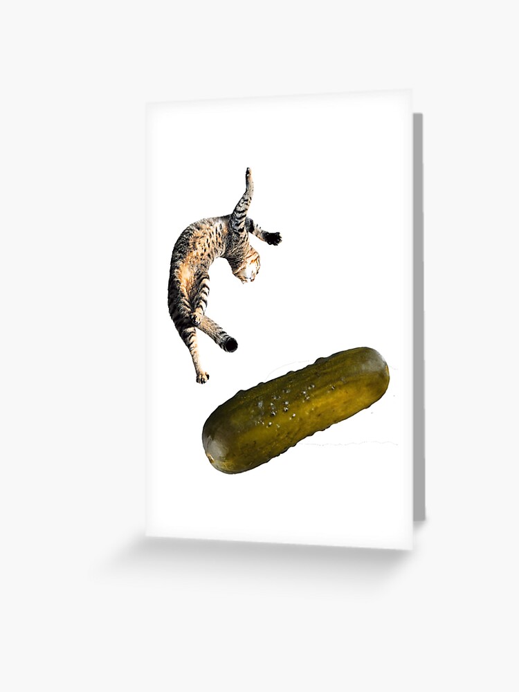 Carte De Vœux Chat Peur De Cornichon Par T I Na Redbubble