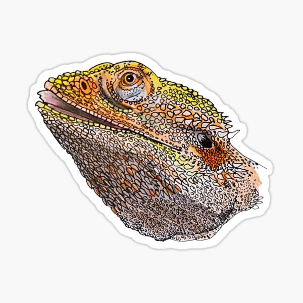 Item preview, Bearded dragon ? designed and sold by xxhartxx.
