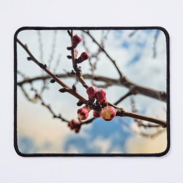 Item preview, Apricot Flower designed and sold by Ou Hammani.
