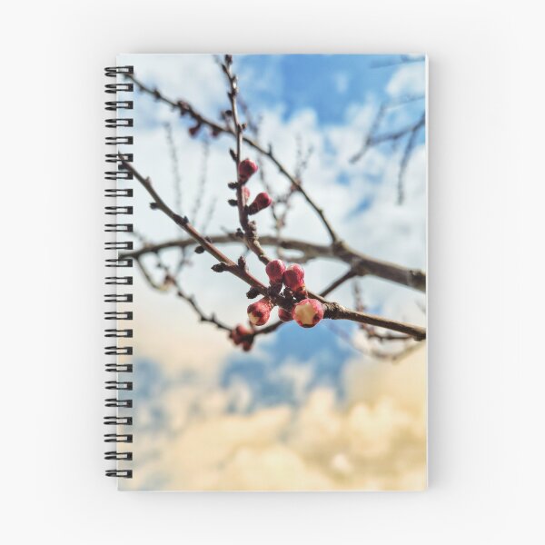 Item preview, Apricot Flower designed and sold by Ou Hammani.