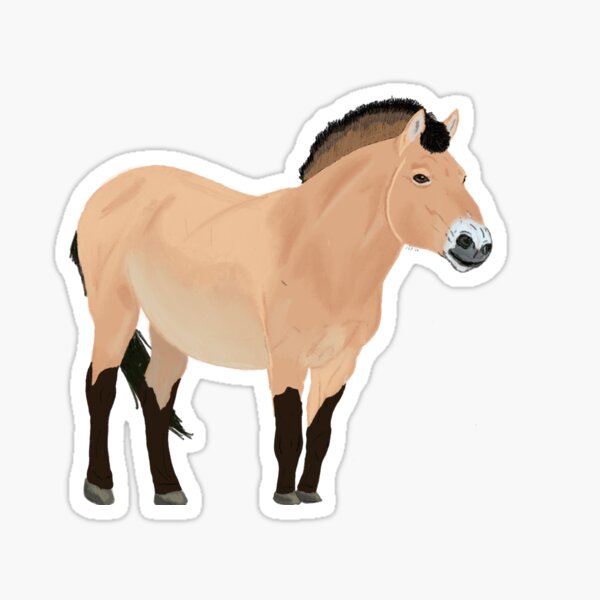 Aperçu de l'œuvre Cheval de Przewalski créée et vendue par CreationByJET.