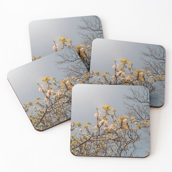 Item preview, cherry trees in spring designed and sold by Rafael López.