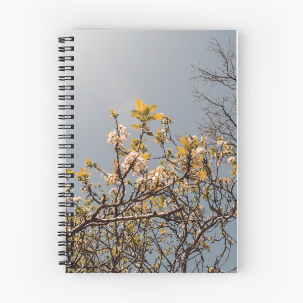 Item preview, cherry trees in spring designed and sold by Rafael López.