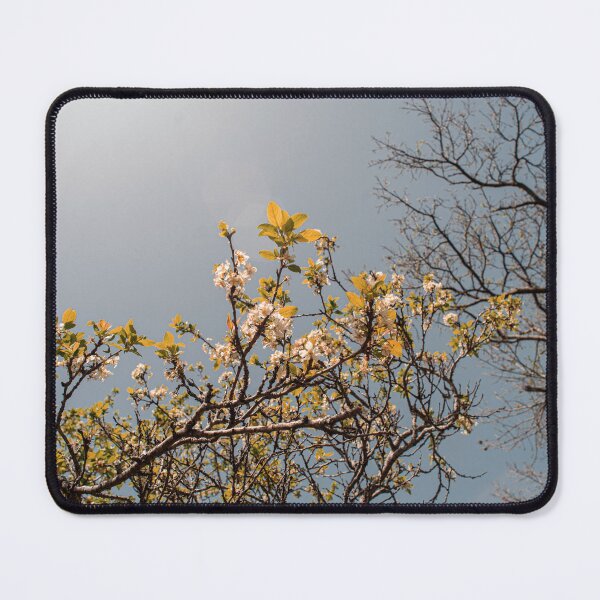 Item preview, cherry trees in spring designed and sold by Rafael López.