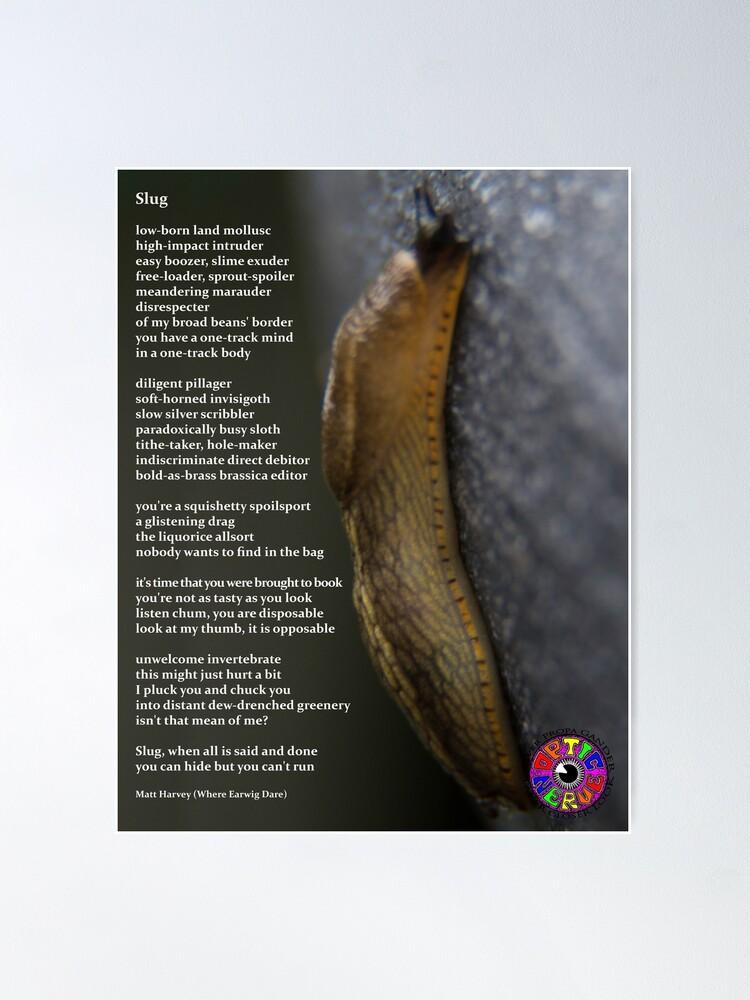 Slug - Matt Harvey Poster for Sale by Optic-Nerve