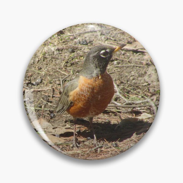 Item preview, First robin this year designed and sold by Shulie1.