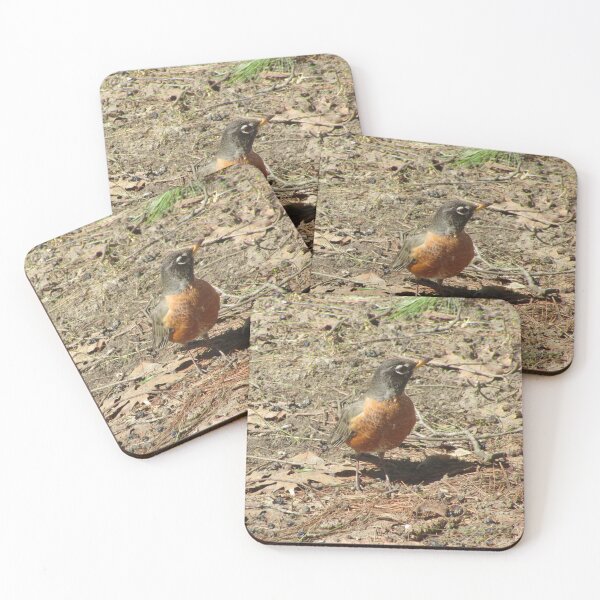 Item preview, First robin this year designed and sold by Shulie1.