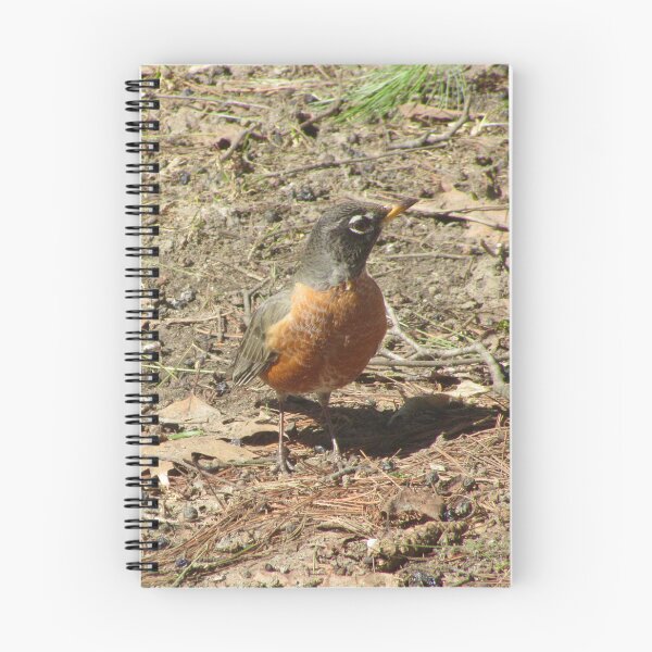 Item preview, First robin this year designed and sold by Shulie1.