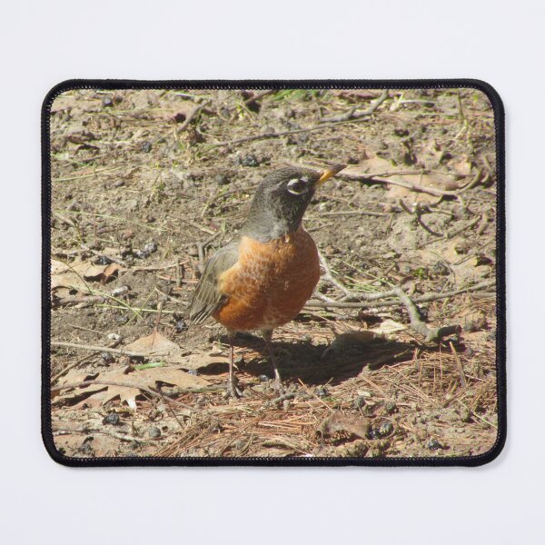 Item preview, First robin this year designed and sold by Shulie1.