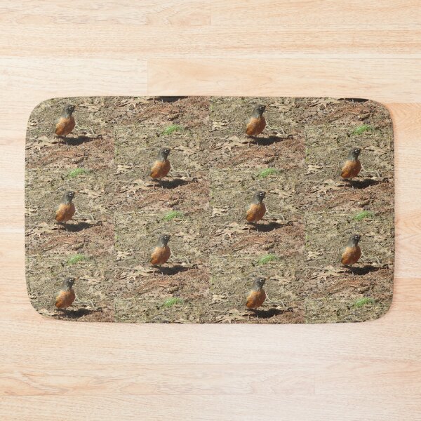Item preview, First robin this year designed and sold by Shulie1.