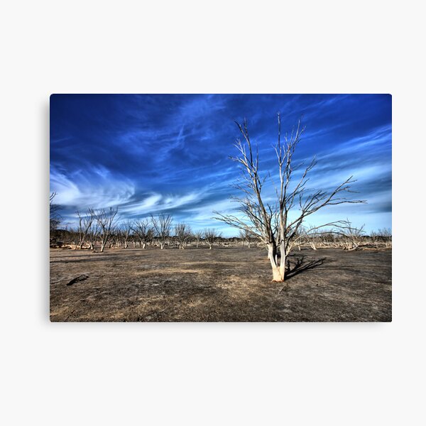 Item preview, Lifeless designed and sold by Globalphotos.