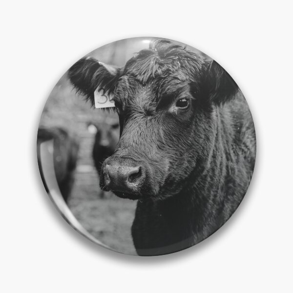 Item preview, Herd of Curiousity designed and sold by TapangaStevens.