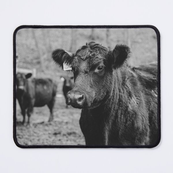 Item preview, Herd of Curiousity designed and sold by TapangaStevens.