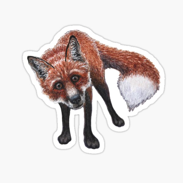 What the Fox Sticker