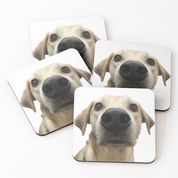 Item preview, Extra Good Boi designed and sold by kathrynhw.