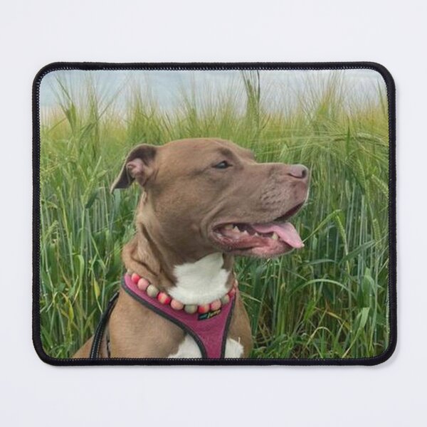 Item preview, ROXIE designed and sold by Marie Leblanc.