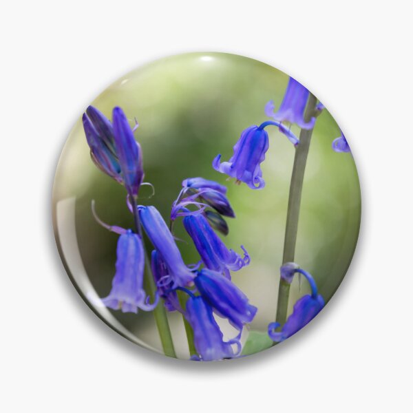 Item preview, Bluebells designed and sold by JEZ22.