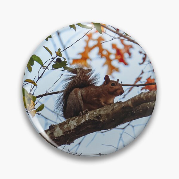 Item preview, Squirrel in Autumn designed and sold by TapangaStevens.