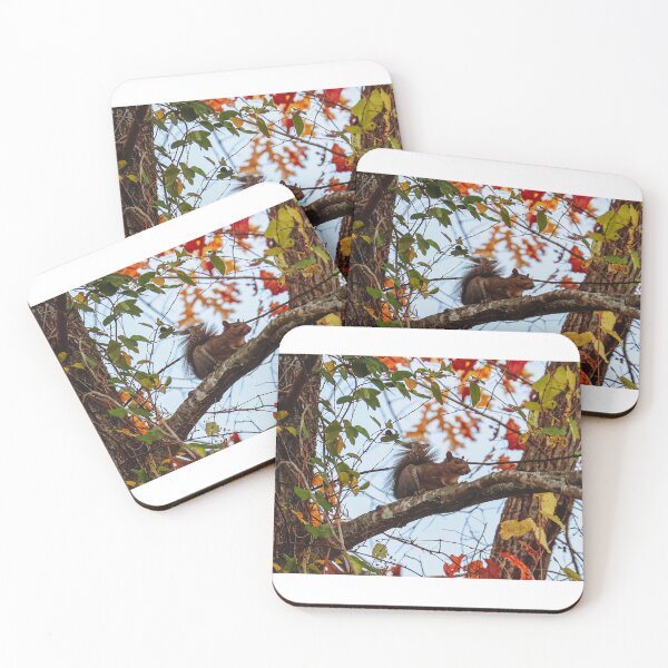 Item preview, Squirrel in Autumn designed and sold by TapangaStevens.
