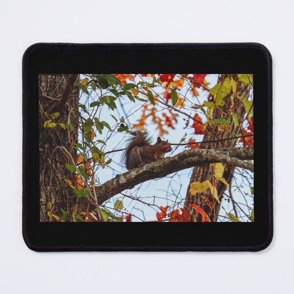 Item preview, Squirrel in Autumn designed and sold by TapangaStevens.