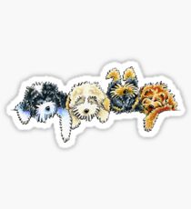 Sleepy Cockapoos Sticker