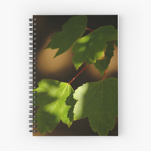 Item preview, Sun Dappled Leaves in Late Summer Nature Lovers designed and sold by eddiebarronshop.