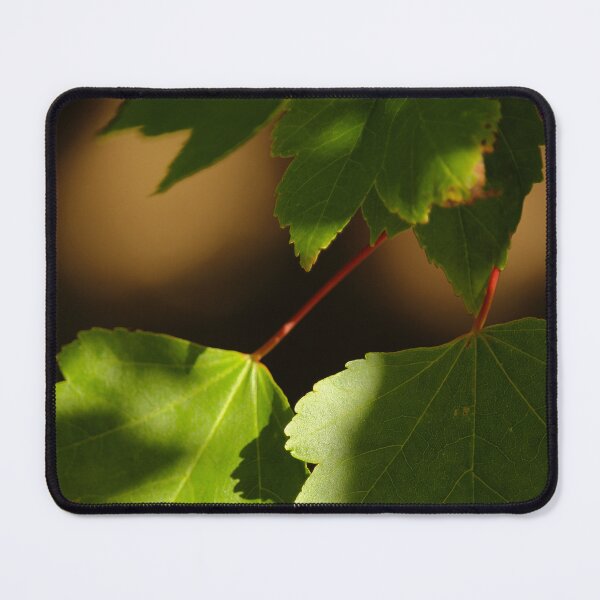 Item preview, Sun Dappled Leaves in Late Summer Nature Lovers designed and sold by eddiebarronshop.