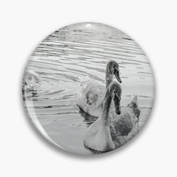 Item preview, Swans Swim By Black and White Mount Stewart Pond designed and sold by eddiebarronshop.