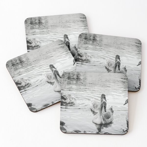 Item preview, Swans Swim By Black and White Mount Stewart Pond designed and sold by eddiebarronshop.