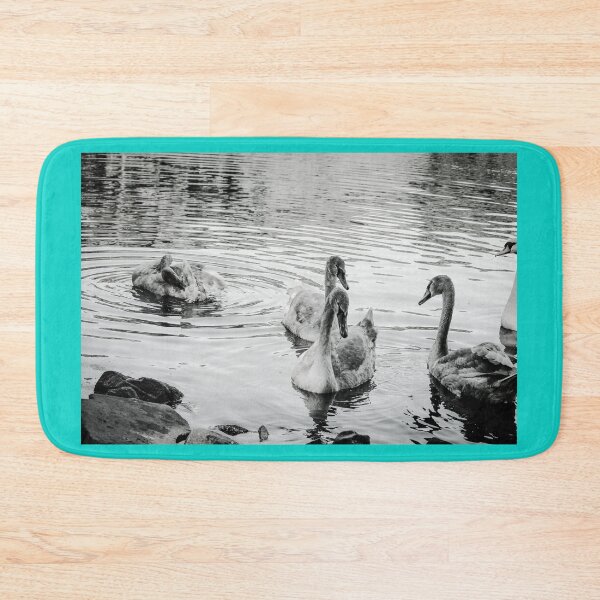 Item preview, Swans Swim By Black and White Mount Stewart Pond designed and sold by eddiebarronshop.