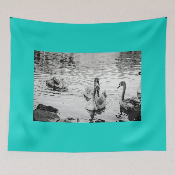 Item preview, Swans Swim By Black and White Mount Stewart Pond designed and sold by eddiebarronshop.