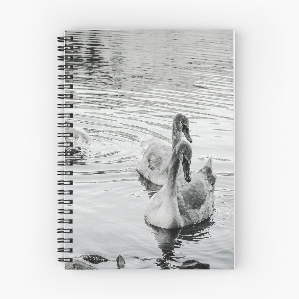 Item preview, Swans Swim By Black and White Mount Stewart Pond designed and sold by eddiebarronshop.