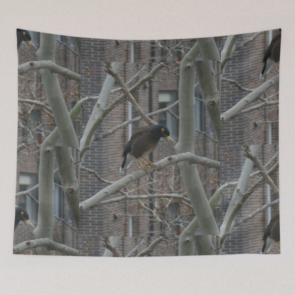 Item preview, Indian Myna DPG150611b designed and sold by CSteenArt.